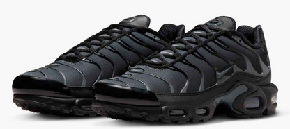 IM6019-010 WMS NIKE W AIR MAX PLUS FL