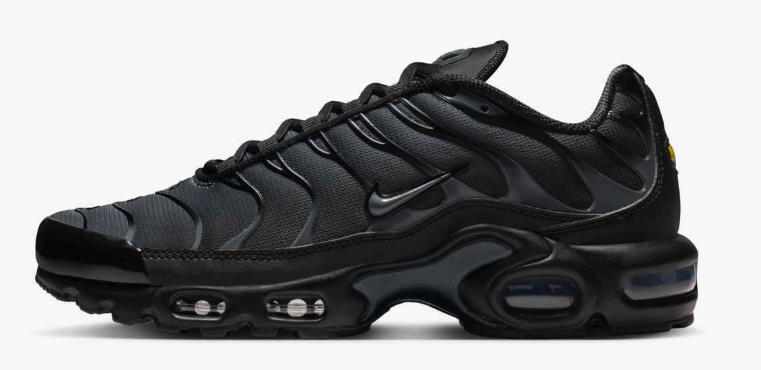 IM6019-010 WMS NIKE W AIR MAX PLUS FL