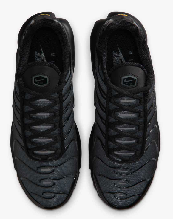 IM6019-010 WMS NIKE W AIR MAX PLUS FL