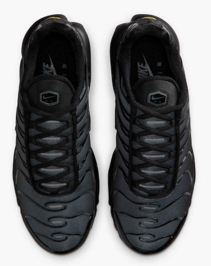 IM6019-010 WMS NIKE W AIR MAX PLUS FL